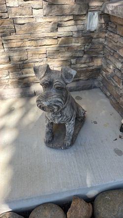 Outdoor Dogs for yard