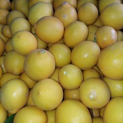 Fresh Citrus- Lemons