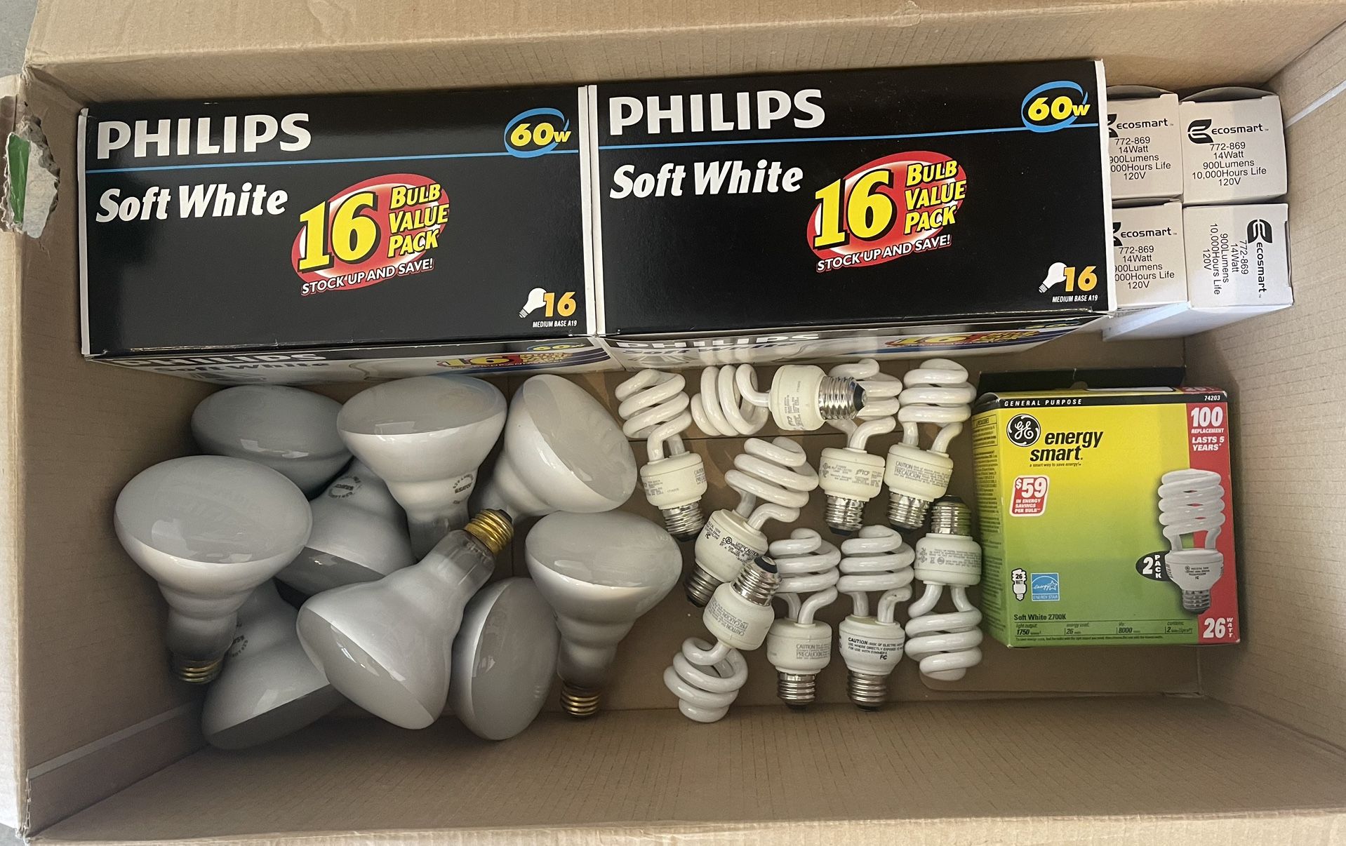 Light Bulbs