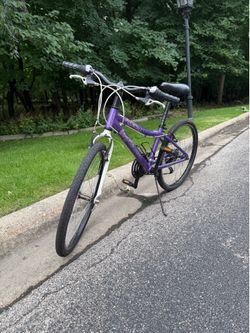Raleigh ivy-kids bike 24inch