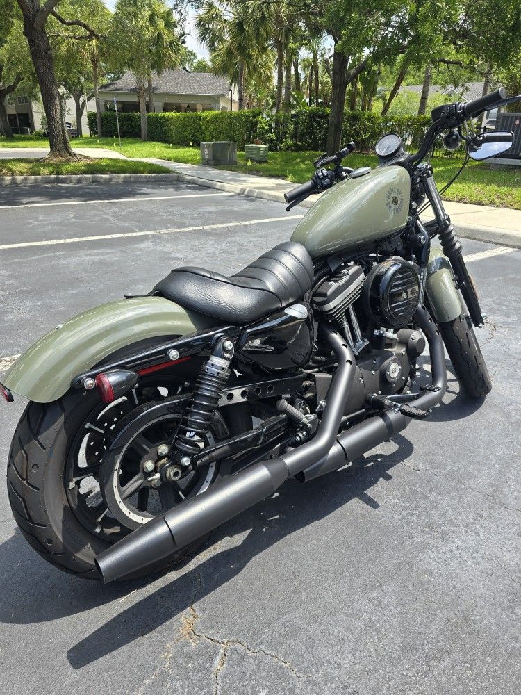 2021 Harley Davidson Sportster Iron 883