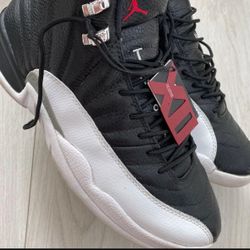 Jordan 12 playoffs