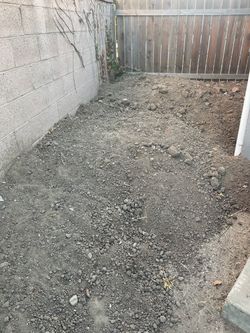 Free Dirt