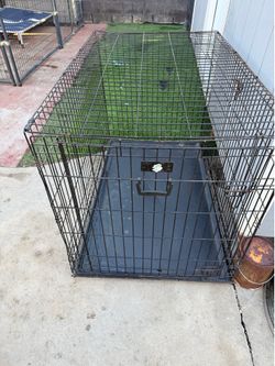 XXL CRATE