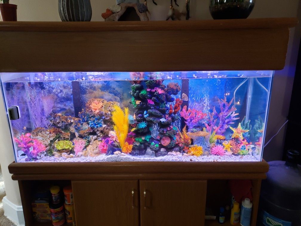 75gal Tank With Oak Stand And Hood
