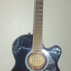 Fender Acoustic-Electric Amp Case Accessories Combo $250