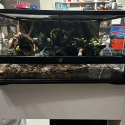 $100 - Exo Terra Terrarium 18x18x12