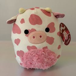 NWT Valentine’s Day Squishmallows 8” Evangelica