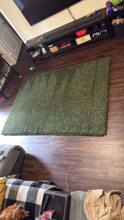 Green 5x7 Rug