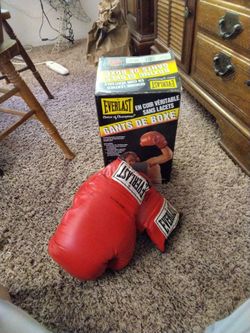Everlast boxing gloves