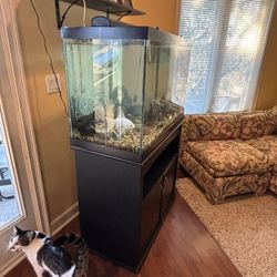 🚨For Sale 🚨70 gallon Fish Tank with Stand