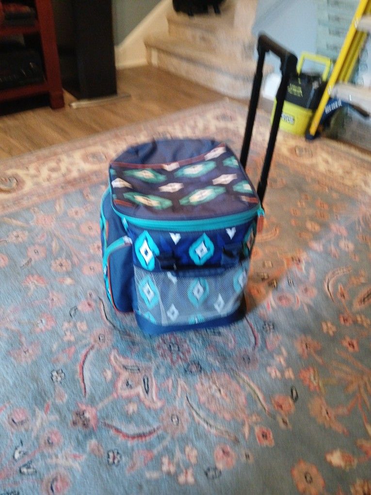 Artic Zone Cooler