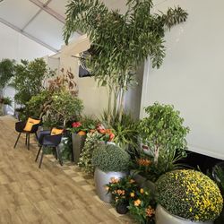 Arizona State Fair Plant Sale (Phoenix)