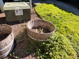 Half barrel planters.
