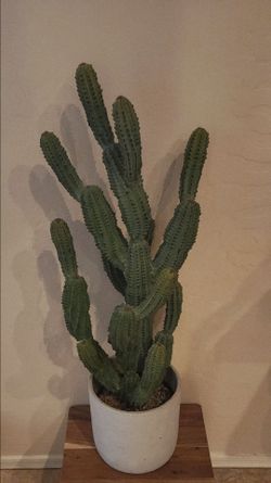 Large Artificial Cactus in White Pot