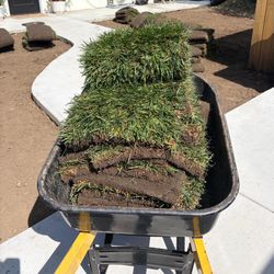 Sod $2 per sq/ ft