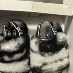 Zebra Skin Ugg NICEEEEEE BRAND NEW IN BOX! 4/5c