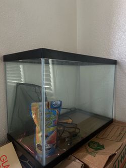 20 gallon tank tall