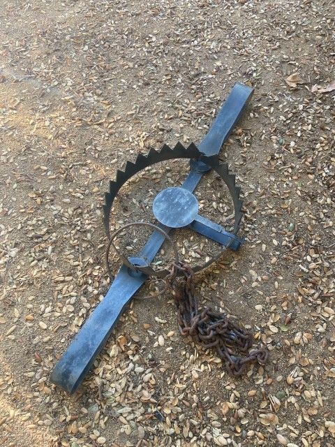 Bear Trap Decoration