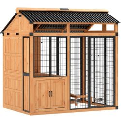 Outdoor Dog House
