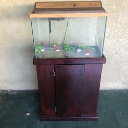 20 gallon fish tank with Fluval filter heater and wooded stand.