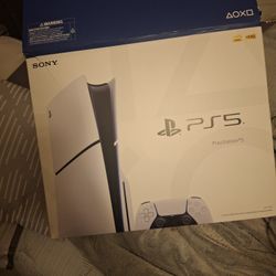 Ps5 Slib With Blue And White Plate