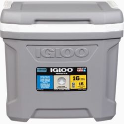 Igloo Cooler 