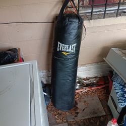 Punching Bag