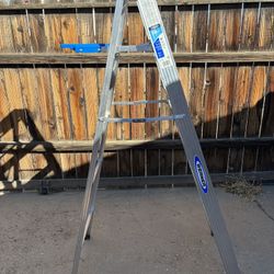 Werner 6 ft Step Ladder 250 lbs