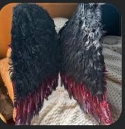 Large Costume Wings/real Feathers Black And Red