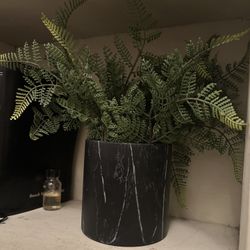 small fake fern