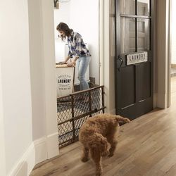Evenflo Position & Lock Baby Gate Dog Gate