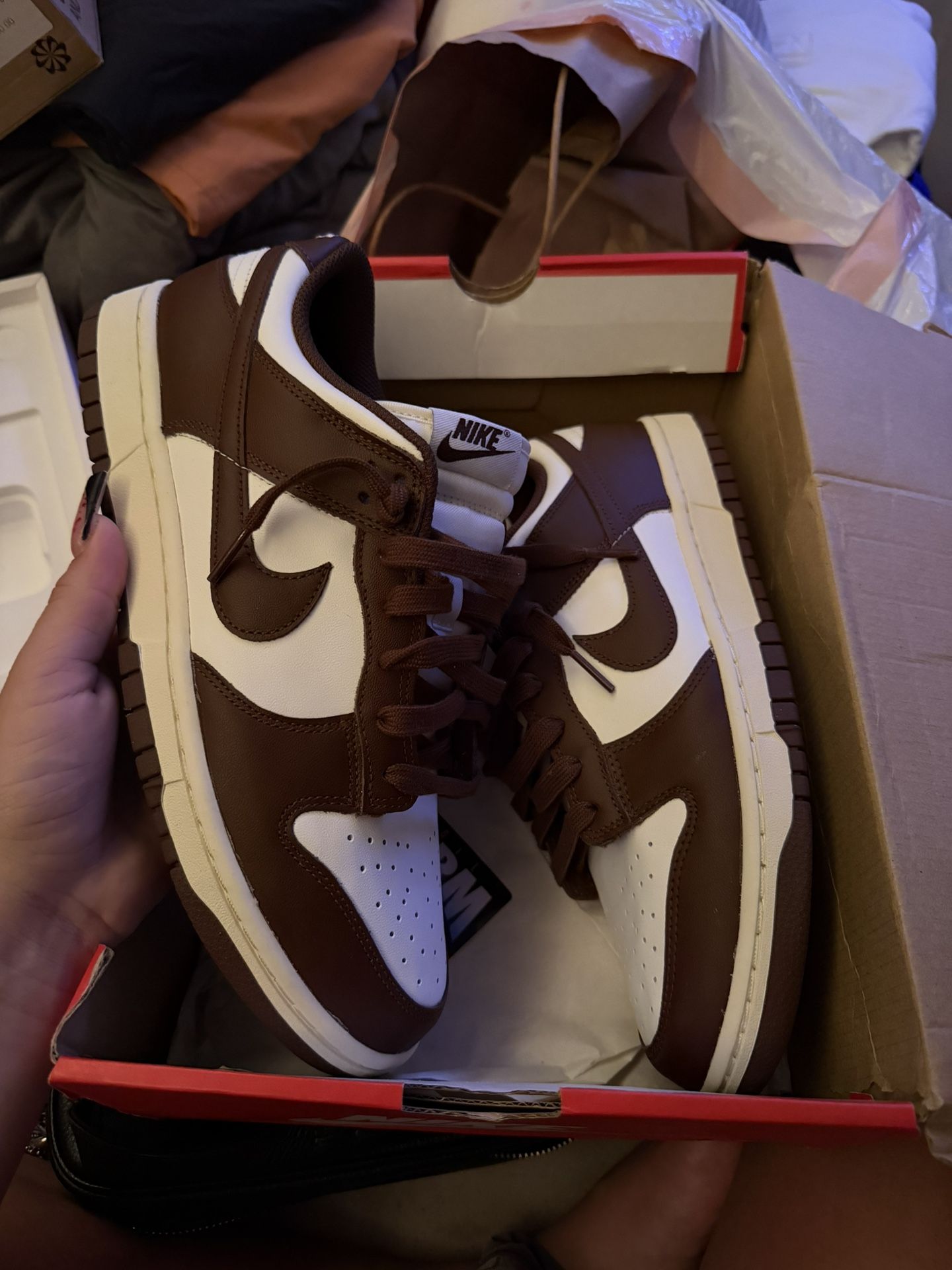 Nike Dunks Men