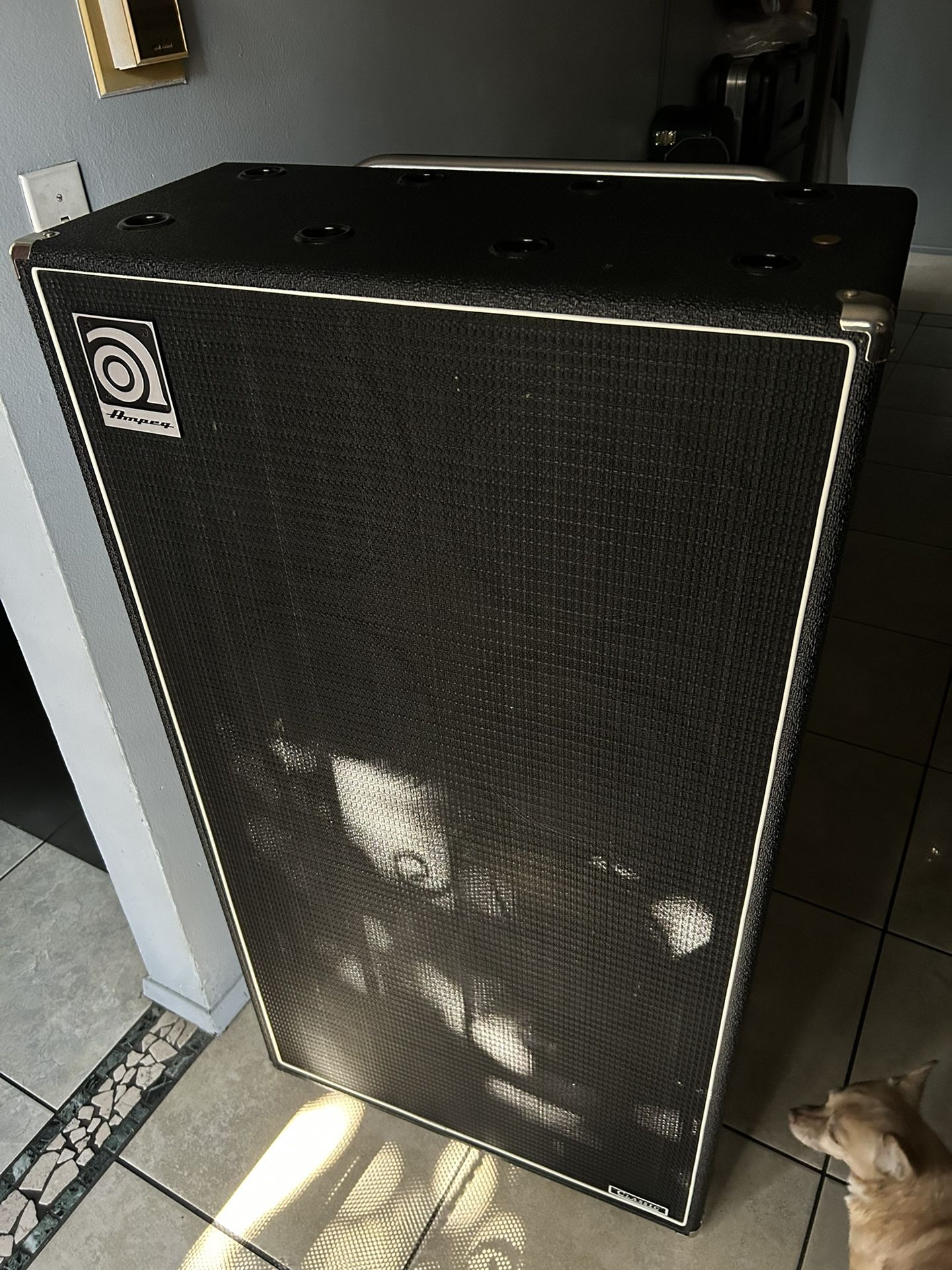 AMPEG BASS CAB 8x10