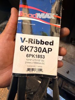 Serpentine Belt