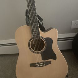 Electric Acoustic Guitar