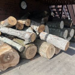 Tree Wood