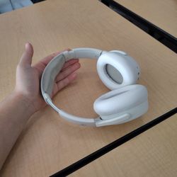 Skull Candy Head Phones