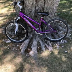 24” Mountain Bike 