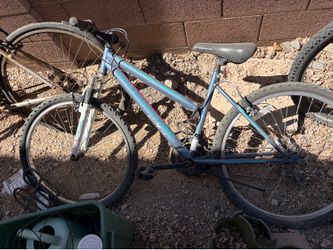 Adult sized Bicycle