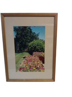 Beautiful Portrait Of Backyard Flowers 