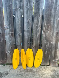 Werner kayak paddles