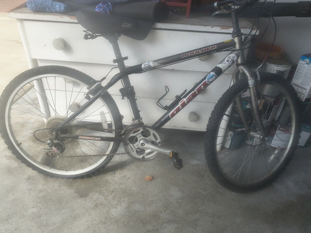 Mountain Bike