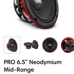 DS18 Pro-NEO6R