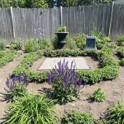 Perennials Cheap, Great Variety 