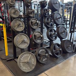 Olympic Plates – Olympic Bars – Dumbbells – Kettle Bells – Home Gym – Rubber Flooring – Squat Rack