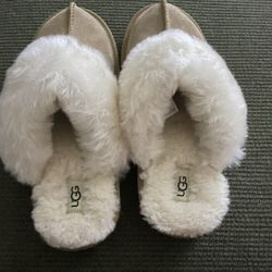 UGG Slippers