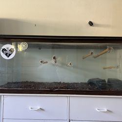 Snake or Reptile Tank