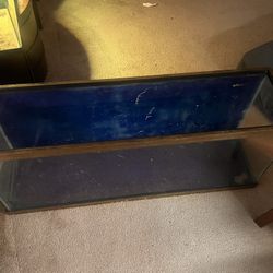 55-75 Gallon Aquarium 