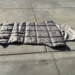 Cargo Padded Pet Protection 